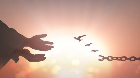 Why I Reject the Cycle of Life: A Caregiver’s Raw Reflection)