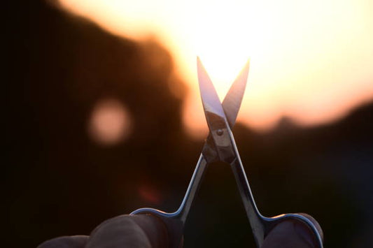 “Why I Started My EverBlooming”